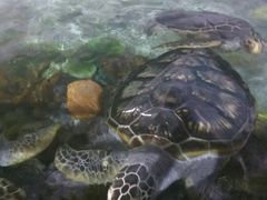 -福州罗源湾海洋世界旅游区