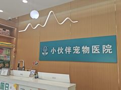 -小伙伴宠物医院•急重症转诊中心·老年专科·犬猫全科(北大街总院)
