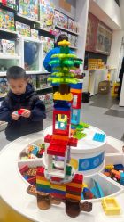 -乐高品牌旗舰店(人民广场店)