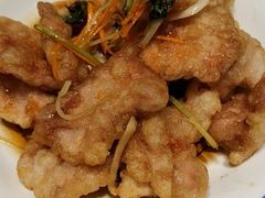 锅包肉-老厨家(友谊路总店)