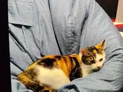 -天河体育中心