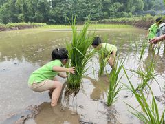 -宾果蒙特梭利托育儿童之家幼儿园(爱琴海店)