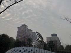 -武汉园博园(武汉自然博物馆)