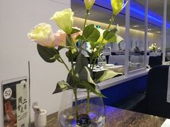 -甜心航空主题餐厅(清远万达广场店)