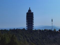 -原山国家森林公园