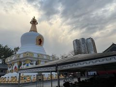 -护国法轮寺