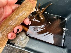 -山东大学(威海校区)