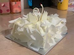 -BLACKSWAN黑天鹅(环球店)