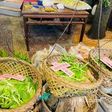 佛山探店｜特色农家菜｜高明濑粉｜免费鸡骨草茶！