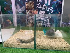 -大悦城(沈阳中街店)