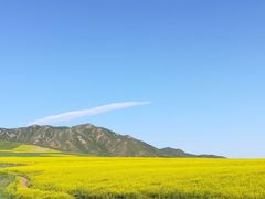 -扁都口生态休闲旅游区