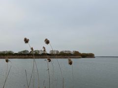 -漕湖湿地公园