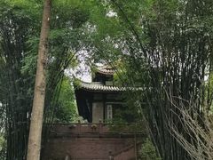 -青羊宫