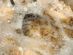 -逢源酒楼(东大街店)