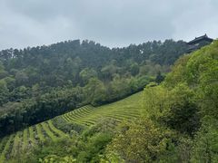 -敬亭山风景名胜区