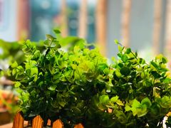 -大草原清真饭庄(沙河店)