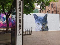 -大馆(前中区警署建築群)