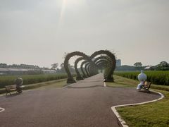 -迪茵湖田家舍生态农场
