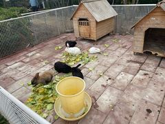 -厦门悦华酒店