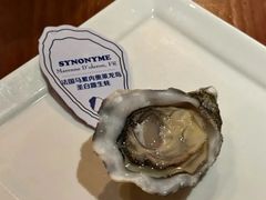 -普朗姆生蚝吧(原建国路店)
