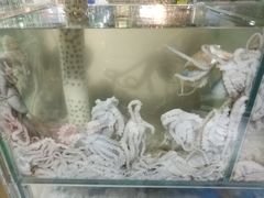 -东海章鱼馆(恒瑞街店)