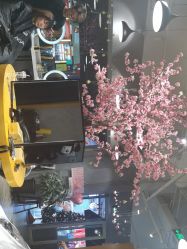 -时尚殿堂明星门店