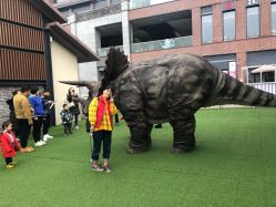 -恐龙探索乐园(磁器口店)