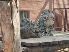 -青藏高原野生动物园