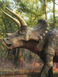 -恐龙探索乐园(磁器口店)