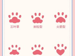 -唐小姐の私宠·宠物洗护美容·撸猫馆·购宠(周浦万达旗舰店)