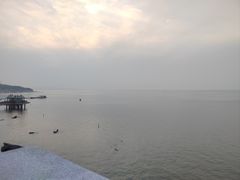 -养马岛旅游度假区
