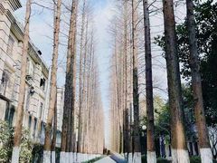 -上海影视乐园