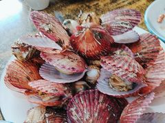 -众想海鲜·烧烤·海肠捞饭·渔家菜(孙家疃店)