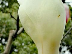 -新江湾城公园