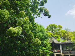 -惠山古镇·寄畅园