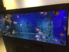 -华声天桥民俗文化园