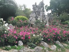 -人民公园(罗湖区)