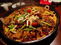 -老板恋上鱼(高新万达店)