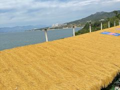 -小赖鱼馆