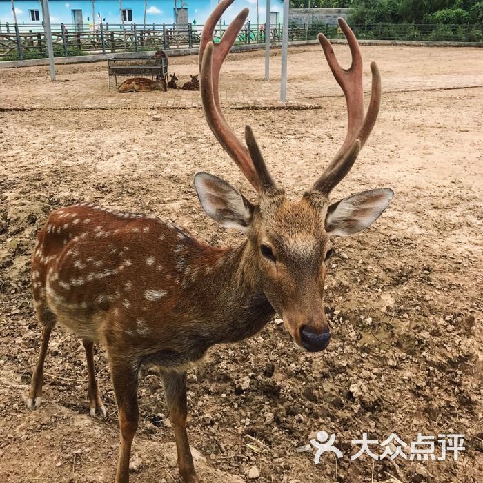 聊城滨河野生动物世界