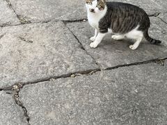-小河无名面馆