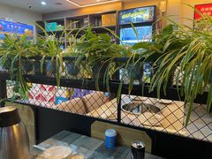-东记炭炉·海鲜鸡煲(龙华店)