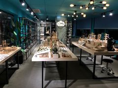 -Trend1881视光·蔡司视觉(领展广场店)