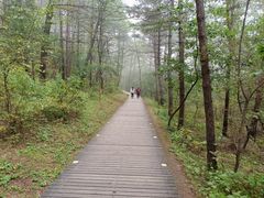 -帽儿山国家森林公园