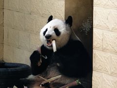 -石家庄市动物园