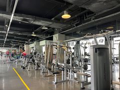 -天行健身＆天行拳馆跆拳道·格斗TXGYM