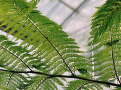 -国家植物园南园