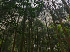-雁荡山风景名胜区