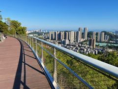 -板樟山森林公园