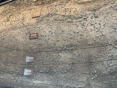 -隋唐大运河文化博物馆
